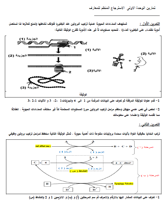 تمارين حول وحدة اليات تركيب البروتين1728327351.pdf